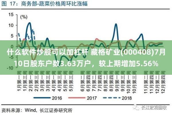 什么软件炒股可以加杠杆 藏格矿业(000408)7月10日股东户数3.63万户，较上期增加5.56%