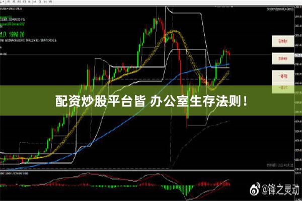 配资炒股平台皆 办公室生存法则！