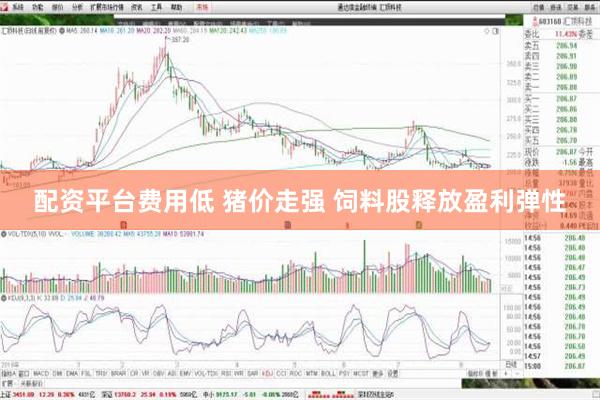 配资平台费用低 猪价走强 饲料股释放盈利弹性