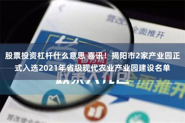 股票投资杠杆什么意思 喜讯！揭阳市2家产业园正式入选2021年省级现代农业产业园建设名单