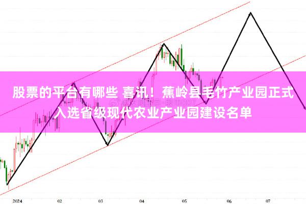 股票的平台有哪些 喜讯！蕉岭县毛竹产业园正式入选省级现代农业产业园建设名单