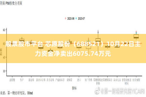 股票股市平台 芯原股份（688521）10月22日主力资金净卖出6075.74万元