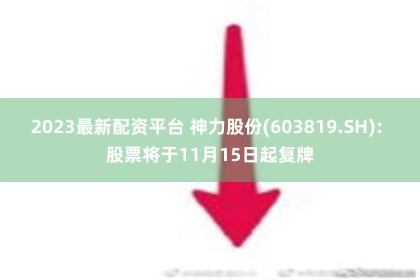 2023最新配资平台 神力股份(603819.SH): 股票将于11月15日起复牌