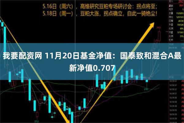 我要配资网 11月20日基金净值：国泰致和混合A最新净值0.707