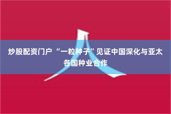 炒股配资门户 “一粒种子”见证中国深化与亚太各国种业合作