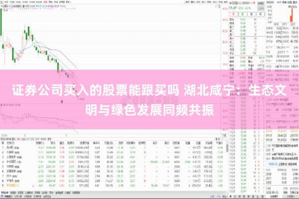 证券公司买入的股票能跟买吗 湖北咸宁：生态文明与绿色发展同频共振