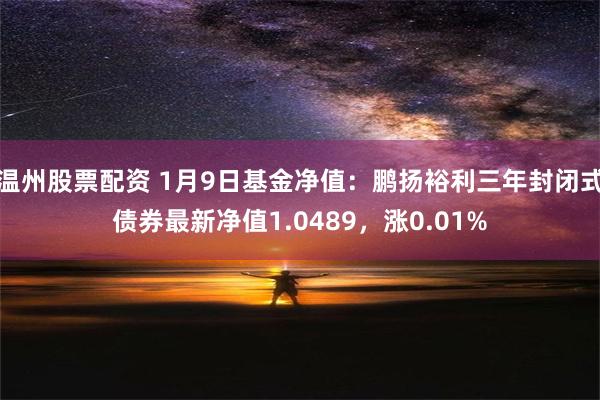 温州股票配资 1月9日基金净值：鹏扬裕利三年封闭式债券最新净值1.0489，涨0.01%