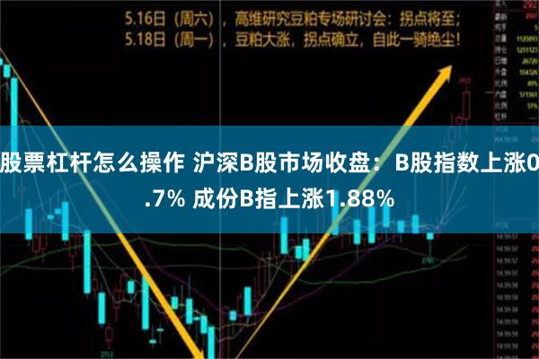 股票杠杆怎么操作 沪深B股市场收盘：B股指数上涨0.7% 成份B指上涨1.88%